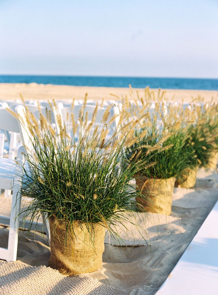 rustic reed beach wedding aisle decor