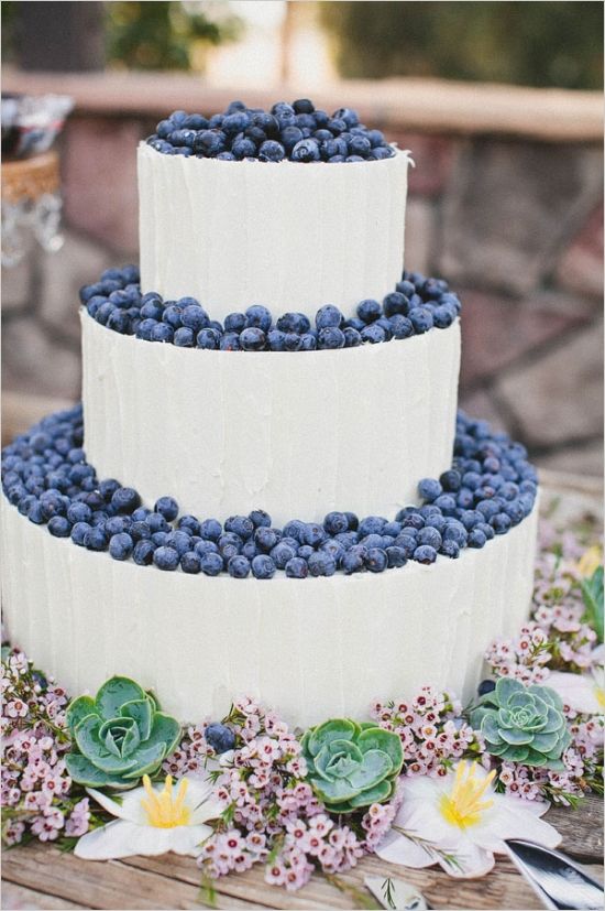rustic wedding ideas-blueberry buttercream wedding cake with succulent border