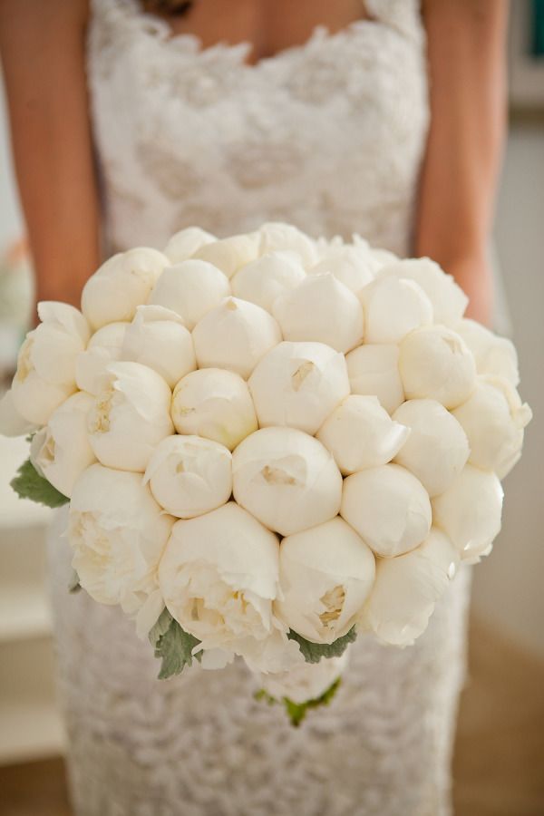 All white closed peonies bridal bouquet