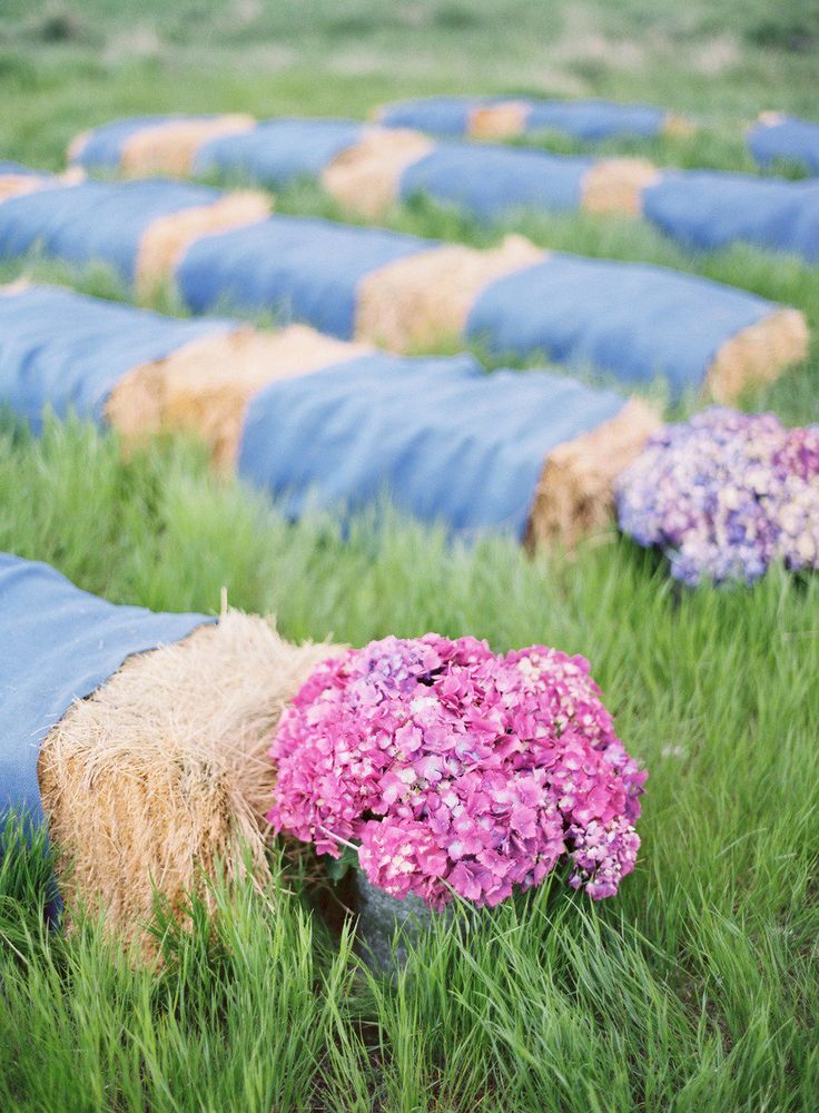 Hay bales and purple hydrangeas weding aisle