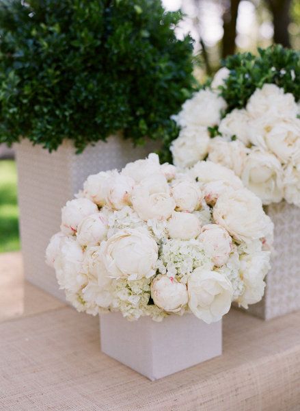 Hydrangea and white peonies wedding flowers