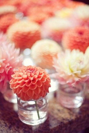 Single dahlia wedding decor ideas