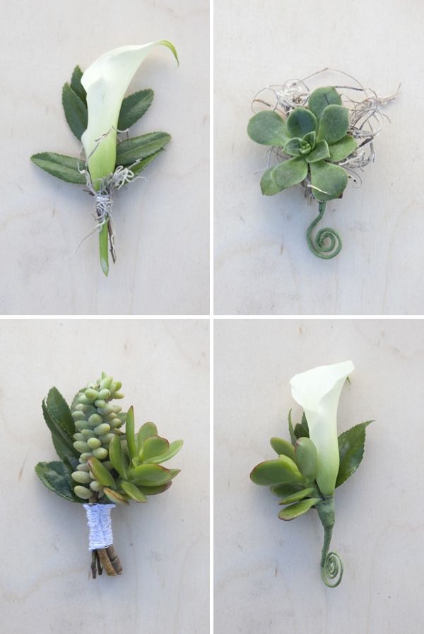 White blooms and green succulents make a masculine boutonnieres