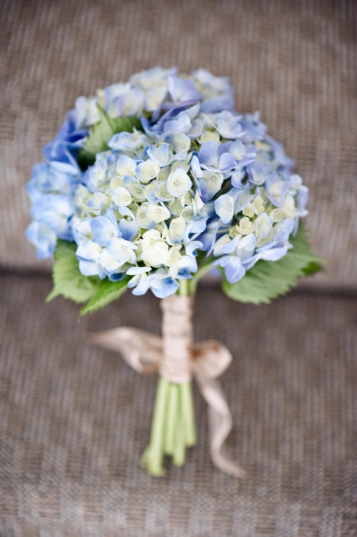 blue hydrangea bouquet with pops of white (roses, spray roses) white satin handle