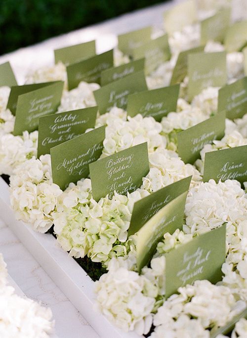 escort cards on a bed of fluffy white hydrangeas arranged on low trays