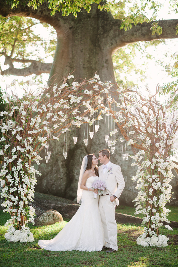 rustic dry wood white wedding arch