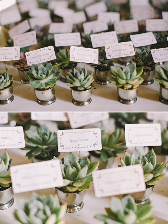 succulent wedding favors that double as place cards