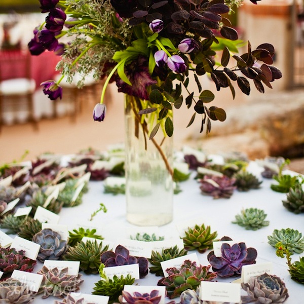wedding reception ideas-succulent escort cards and place cards