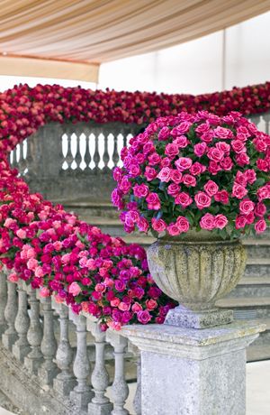 Beautiful pink flower arrangment