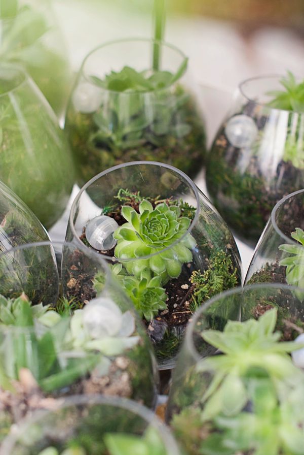 20 Unique Rustic Terrarium Wedding Centerpieces 18 Botanical chic wedding ideas