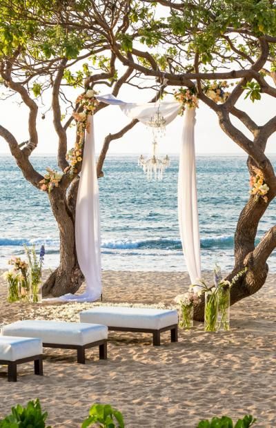 Hawaii beach wedding arch