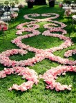 Pink petals wedding runner ideas