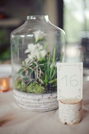 Terrarium wedding centerpiece