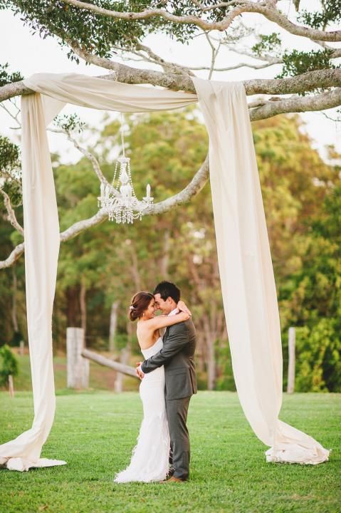 birch tree wedding backdrop