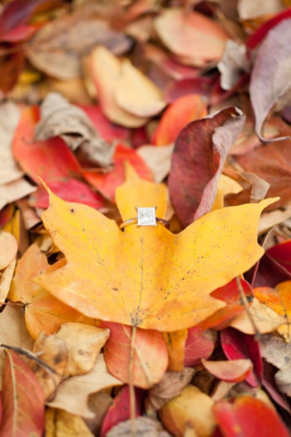 engagement ring on fall leaves