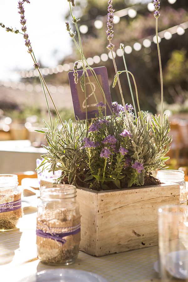 living lavender centerpiece and table number