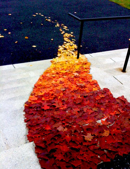 ombre fall wedding aisle runner idea