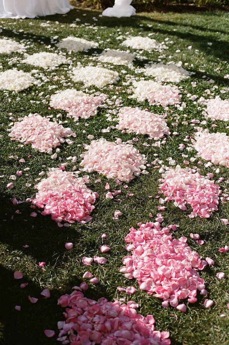 patterned petals  rose-petals ombre wedding aisle