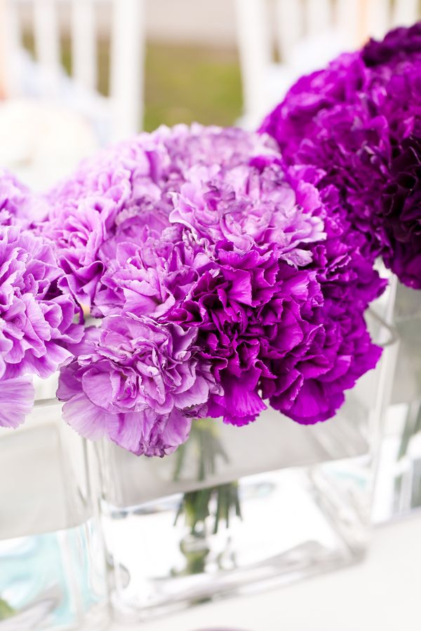 purple ombre flowers