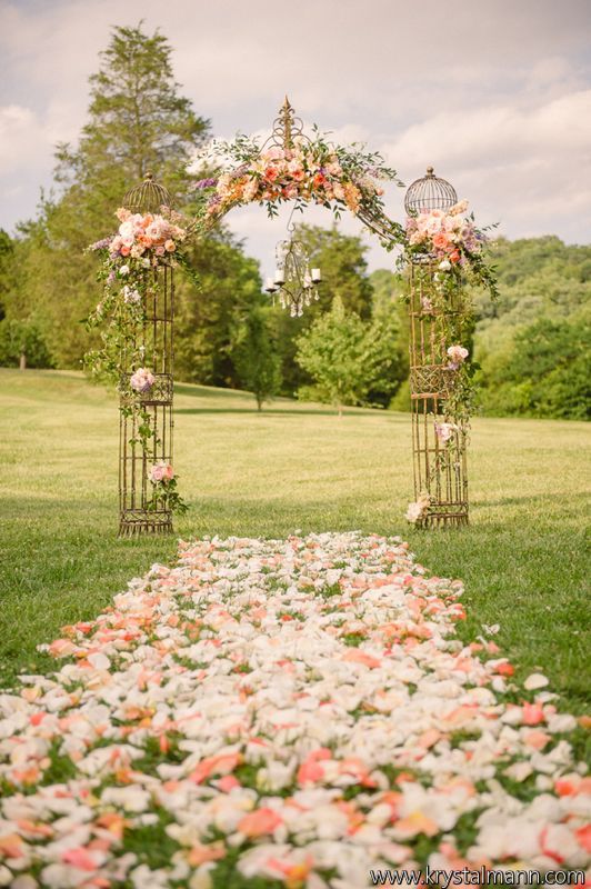 soft colored flowers in the meadow