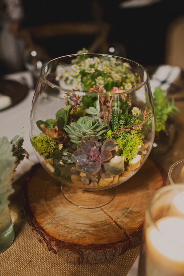 20 Unique Rustic Terrarium Wedding Centerpieces 10 succulents desertscapes in glass bowls