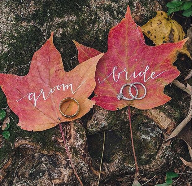 wedding rings on fall leaves
