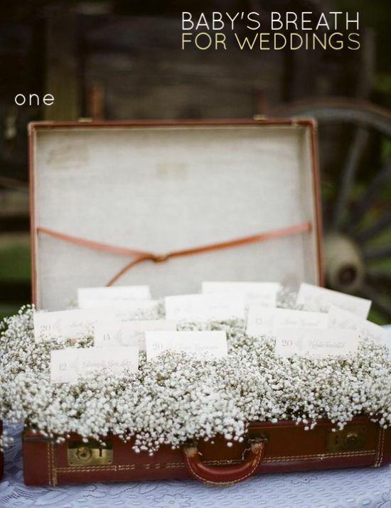 wedding suitcase full of baby's breath