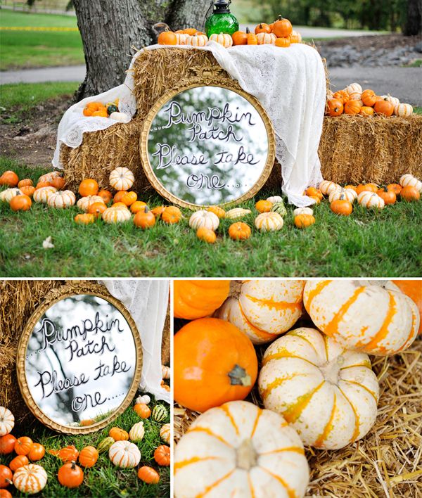fall pumpkin wedding favors