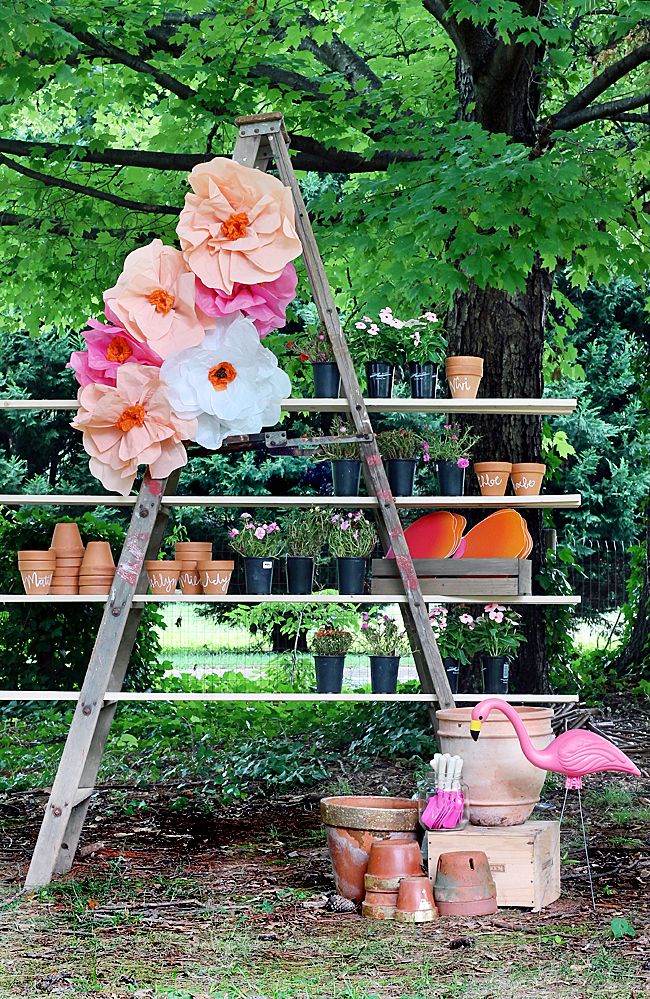old step ladder to be a shelf for garden pots and garden party favors