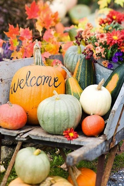 rustic fall pumkin wedding decor ideas