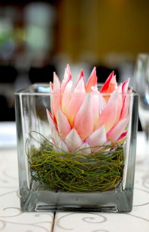 Protea Wedding Decor Ideas