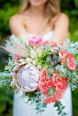 wedding bouquet with air plants, purple protea, and bleached peacock feathers