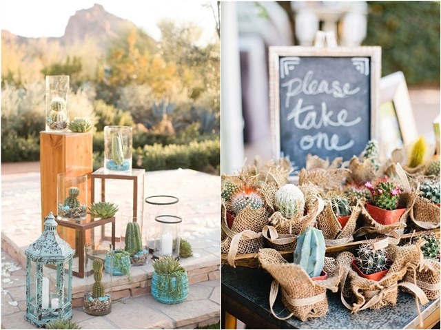 Cactus wedding ideas