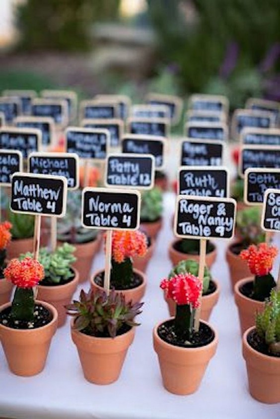 Potted Cacti wedding favor ideas