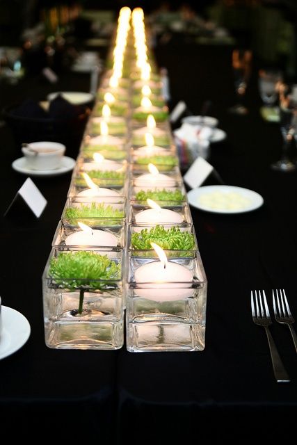 a runner of small square vases in the middle of the table with floating candles and floating green succulents