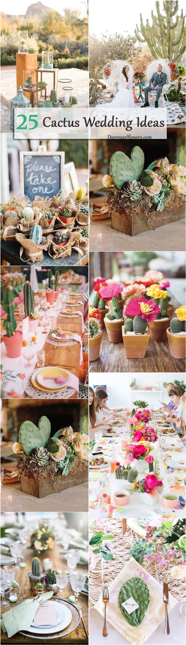 rustic cactus wedding ideas and themes