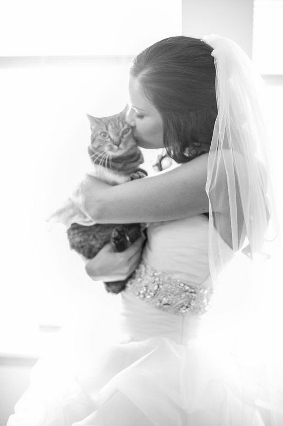 Getting ready wedding photos with your pet 1