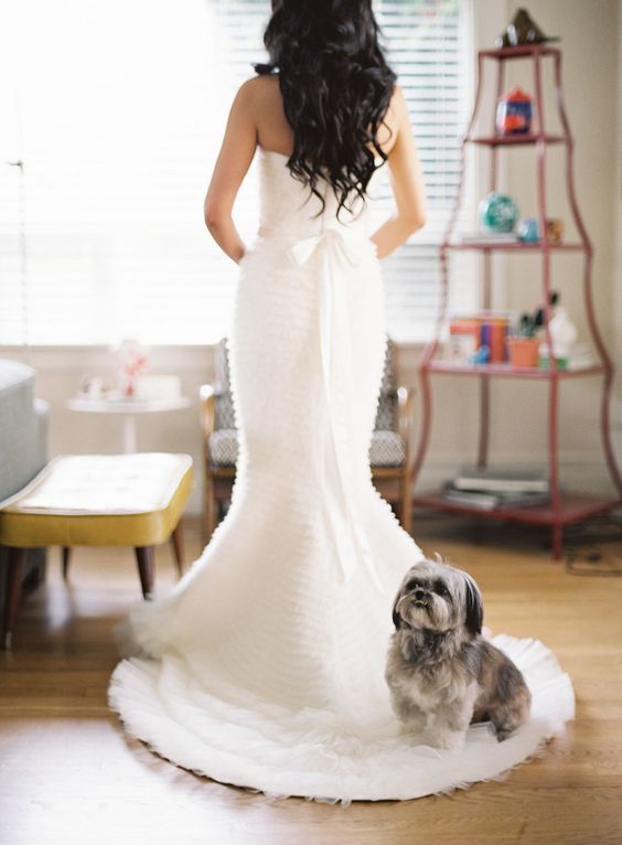 Getting ready wedding photos with your pet 4