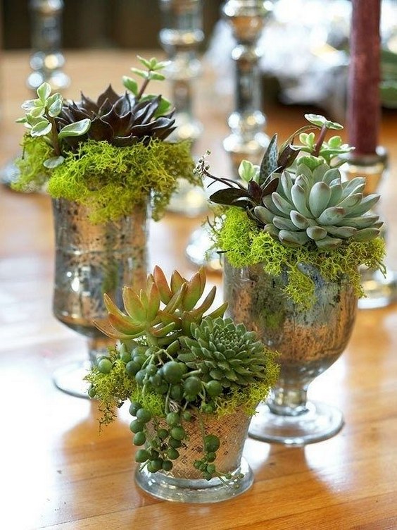 Succulent moss wedding centerpieces