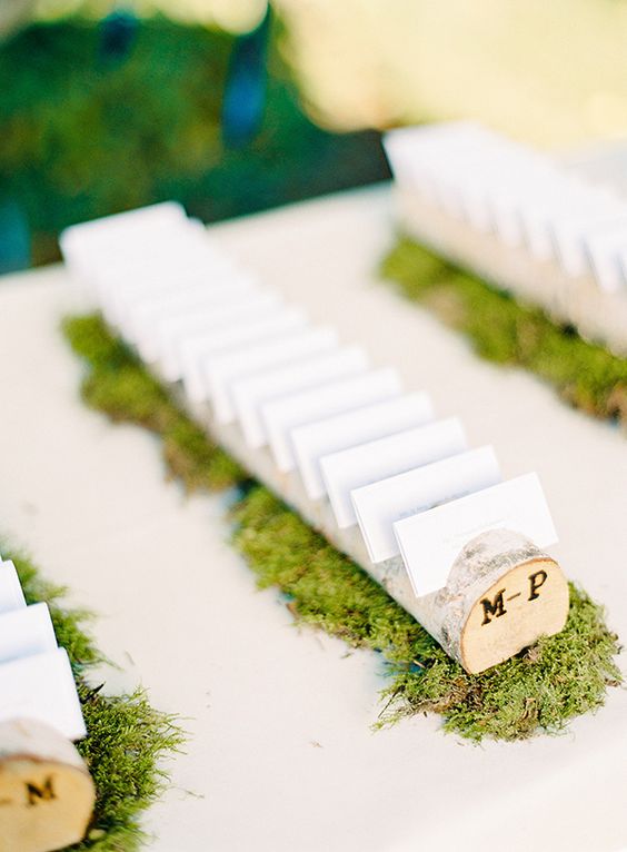 wedding escort cards in wooden branches on moss