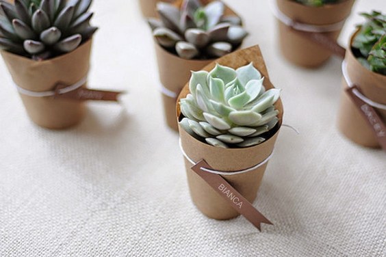 rustic country kraft paper and succulent wedding favors