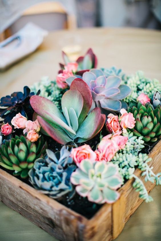 rustic succulent wooden crates wedding decor