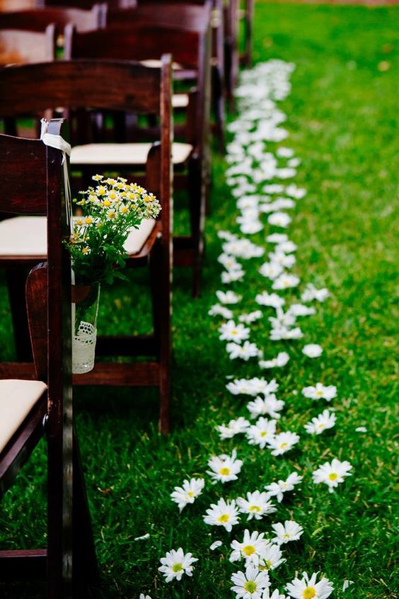 Daisies for the flower girls to throw instead of rose pedals