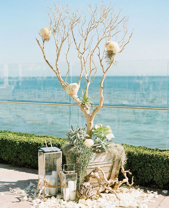 Rustic Driftwood Wedding Ideas