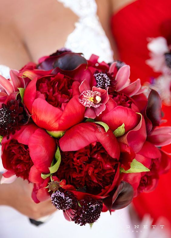 deep red peonies wedding bouquet