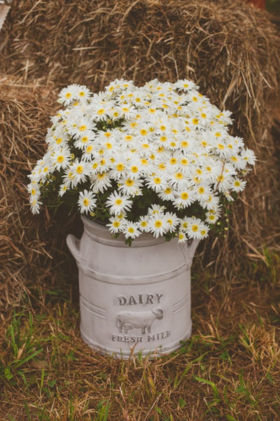 rustic country chamomile daisies wedding decor