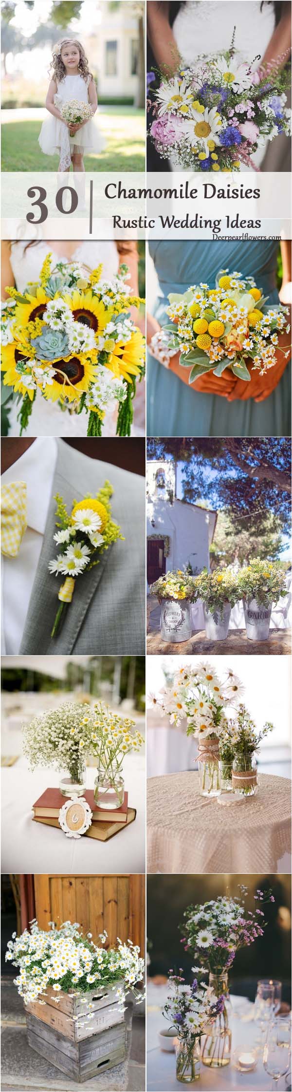 rustic wedding ideas- chamomile daisies wedding ideas