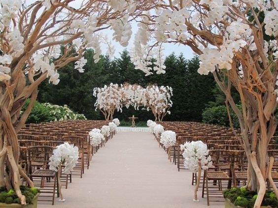 tree branches with white flowers make for an elegant and rustic wedding aisle decor