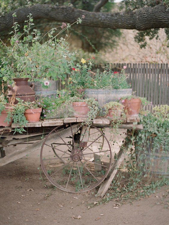 rustic succulent backyard wedding decor