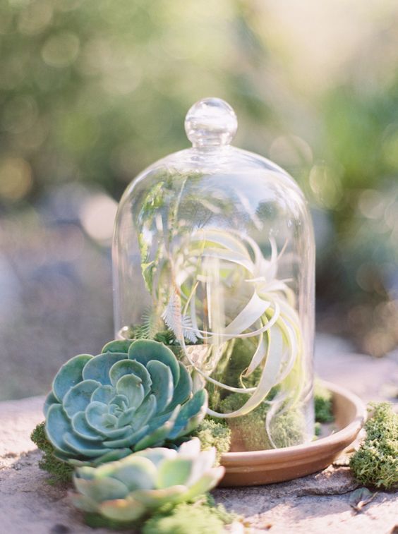 wedding succulents wedding centerpiece via melissa jill photography